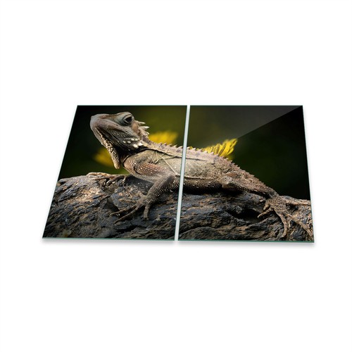 Herdabdeckplatte ceran - herdabdeckplatte,