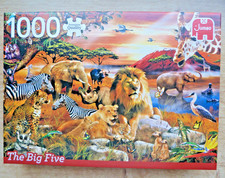 Jumbo Puzzle 1000 Teile The