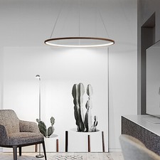 LED Pendelleuchte Ring-Design