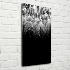 Wand-Bild Kunstdruck aus