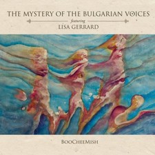 THE MYSTERY OF THE BULGARIAN