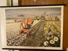 Schulwandkarte Baumwolle Ernte