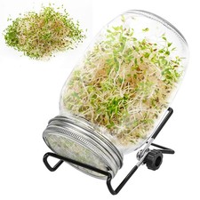 Sprossenglas set mit - sprossenglas, 3