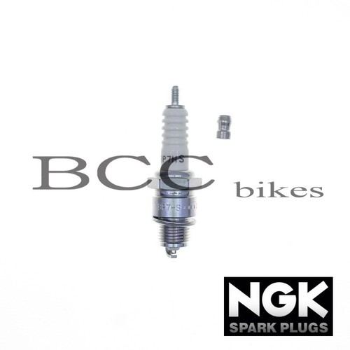 Ngk zündkerzen pgo rex 110 - zündkerzen,