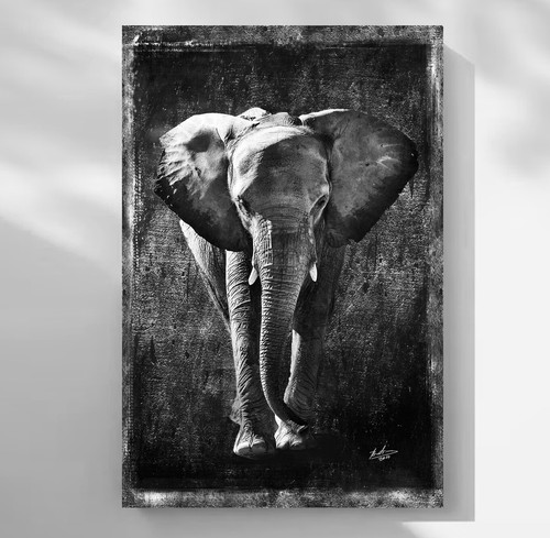 Leinwand bild elefant tiere - leinwand,