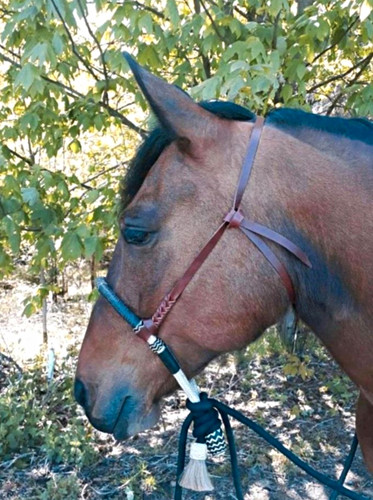 Western bosalhanger bosal - western,