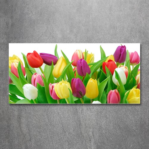 Glas bild wandbilder - glas-bild, auf