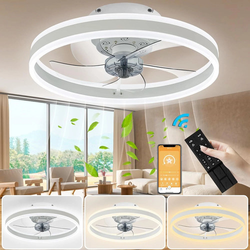 Deckenventilator mit