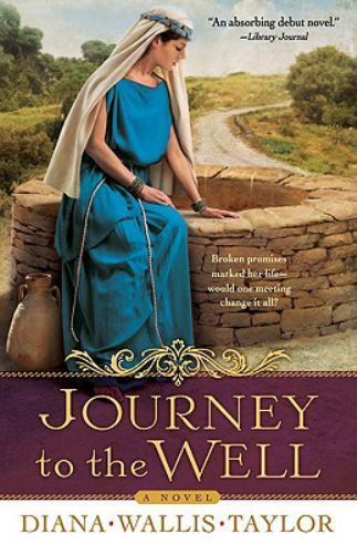 Journey the well a novel - the,