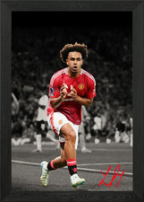 JOSHUA ZIRKZEE Gerahmtes