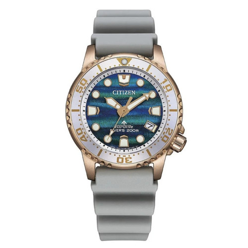 Citizen promaster diver eco - promaster,
