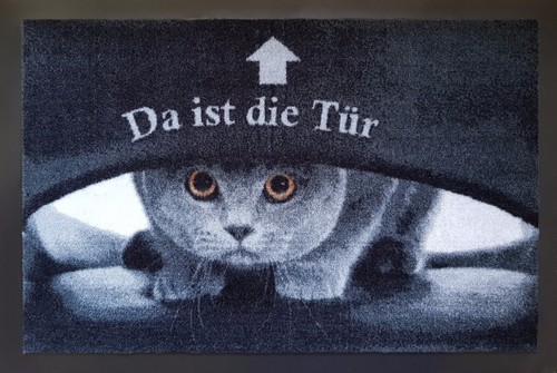 Fußmatte bodenmatte katzen - fußmatte,