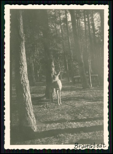 22x foto bad bramstedt - bad,