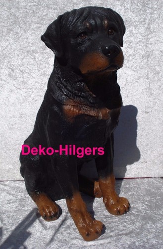 Rottweiler lebensgroß sitzend - rottweiler,