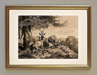 Carl friedrich deiker - carl,