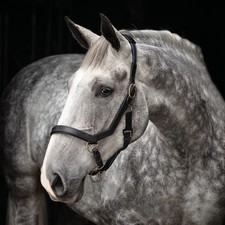 Horseware rambo micklem - rambo,