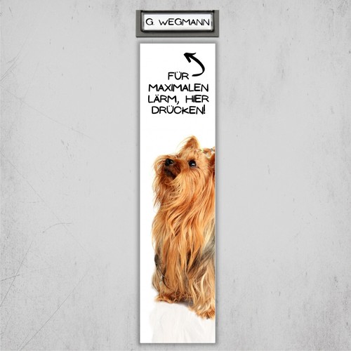Yorkshire terrier yorkie - yorkshire,