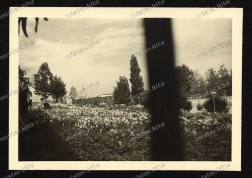 Stuttgart-Höhenpark-Killesber