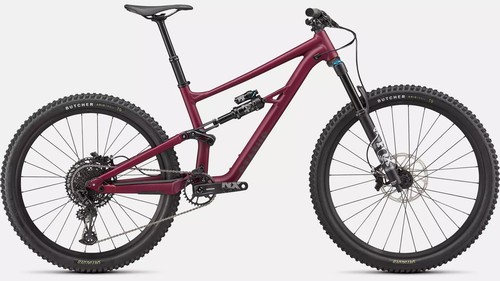 Specialized status 140 - status, 2020