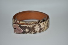 REPTILE´S HOUSE ⭐ Gürtel