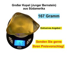 Großer und kostbarer Junger Bernstein (Kopal) aus Südamerika - 167 Gramm