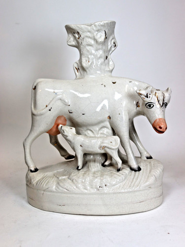Staffordshire kuh - staffordshire,