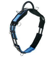 Longiergurt mit Handgriff Busse Reitgurt Haltegurt Mini-Shetty Shetty P WB blau