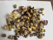 Nr. 105 Trockenblumen/Blütenköpfe natur/lila 74 Teile