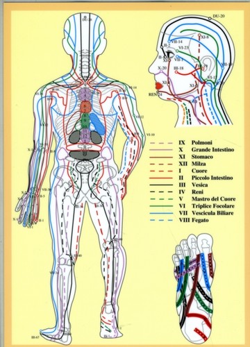 Masunaga zen shiatsu - masunaga,