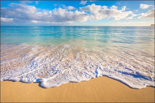 Verschiedene meer motive vlies - verschiedene,