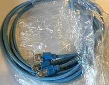 CAT6 Blaue & Graue