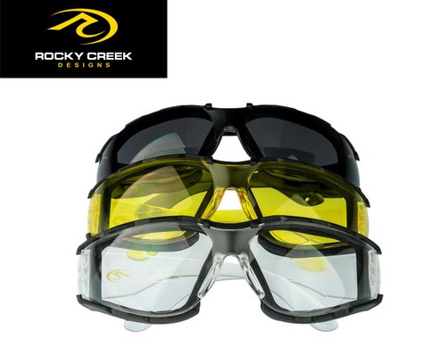 Focal reitbrille sehen - -,