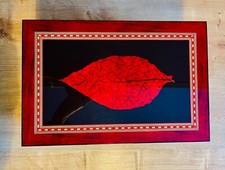 Humidor Andorini Venezia Grande Deluxe Selten Tabakblatt Rarität 