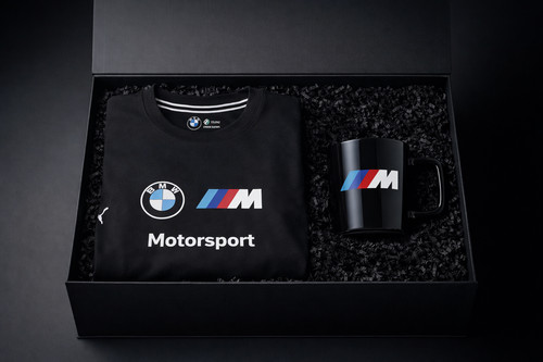 BMW M Motorsport