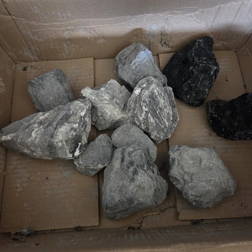 Aquarium 4 kg - 3,