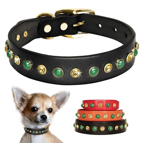 Hundehalsband strass halsband - hundehalsband,