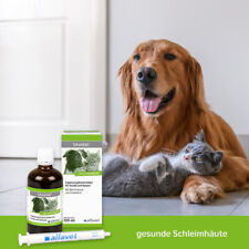 Urostat Harnwege D Manose Hund Katze