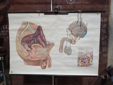 DDR Rollkarte Schulkarte