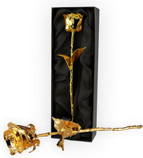– Goldene Rose, 24 Karat