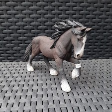 Shire Horse Hengst