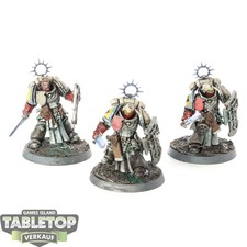 Space Marines - 3x Bladeguard Veterans - bemalt