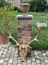 Sehr großes, goldenes Hirschgeweih - Garderobe Design Wild!