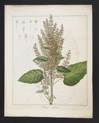 Kupferstich 1835 text - um,