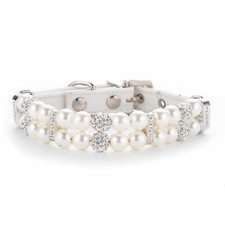 Luxus Hundehalsband Katze