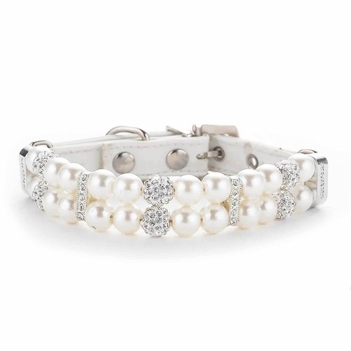 Luxus hundehalsband katze - hundehalsband,