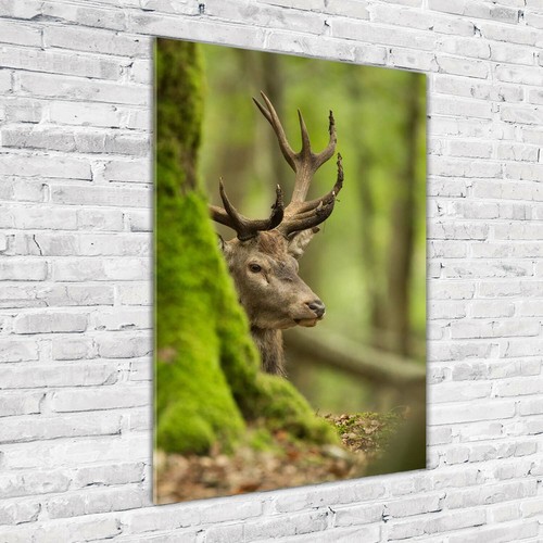 Wand bild kunstdruck aus - kunstdruck,