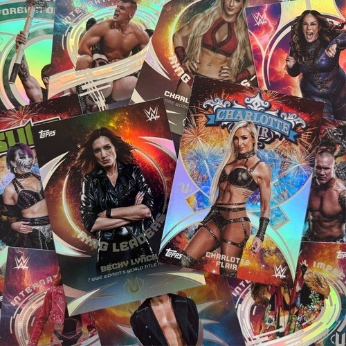 Wwe topps universe - topps, 2025