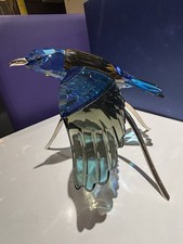 Swarovski Paradiesvögel -