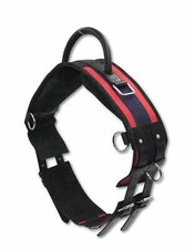 AMKA Longiergurt Reitgurt mit