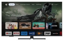 Grundig FineArts 55 CQA 8490